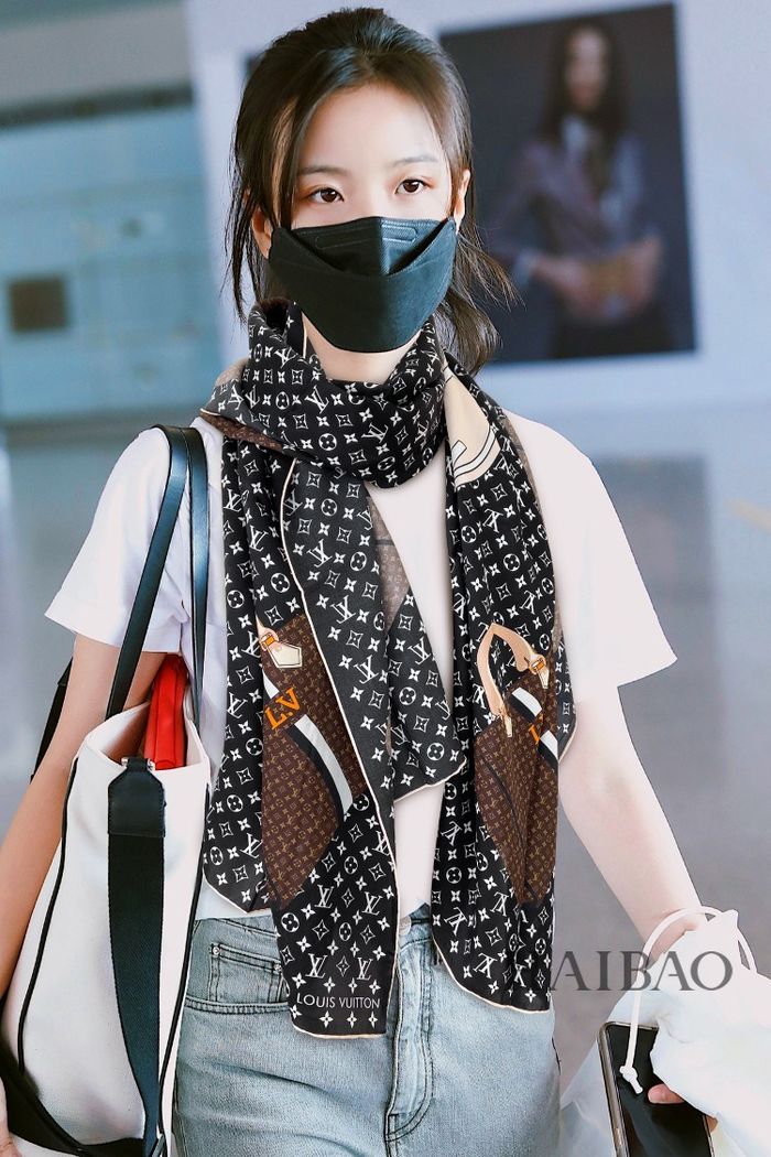 Louis Vuitton Scarf LVS00026